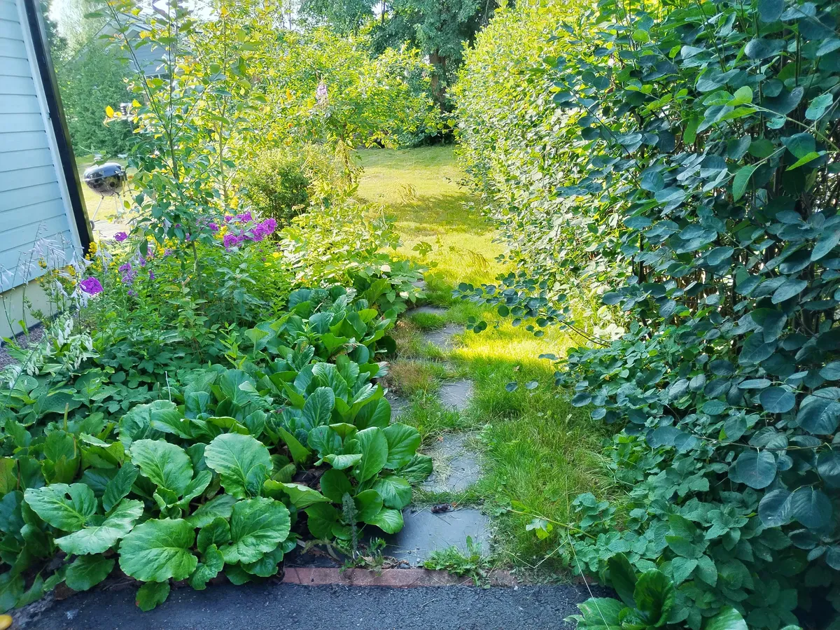 Hyresbostad på Vantaa i vantaa
