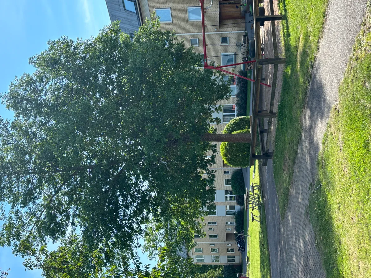 Hyreslägenhet på Linköping i linkoping