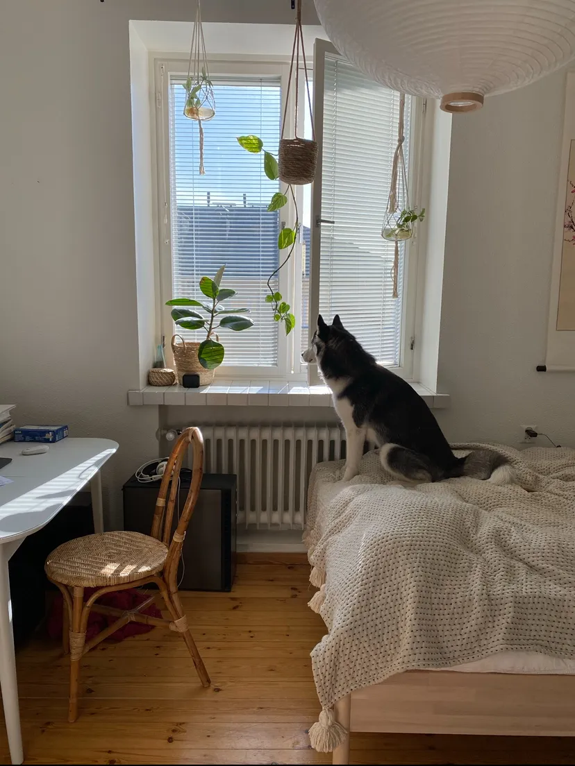 Hyreslägenhet på Helsinki i helsinki