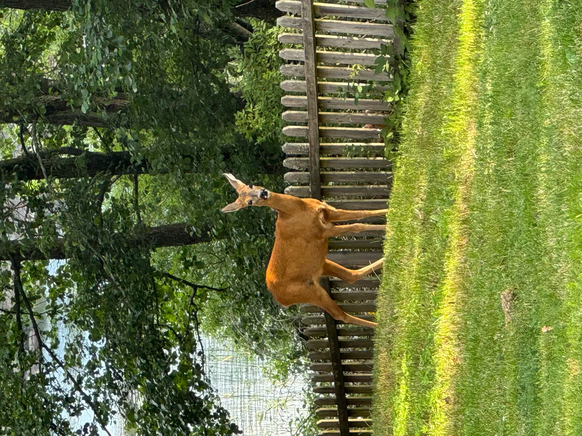 Hyresbostad på Huddinge i huddinge