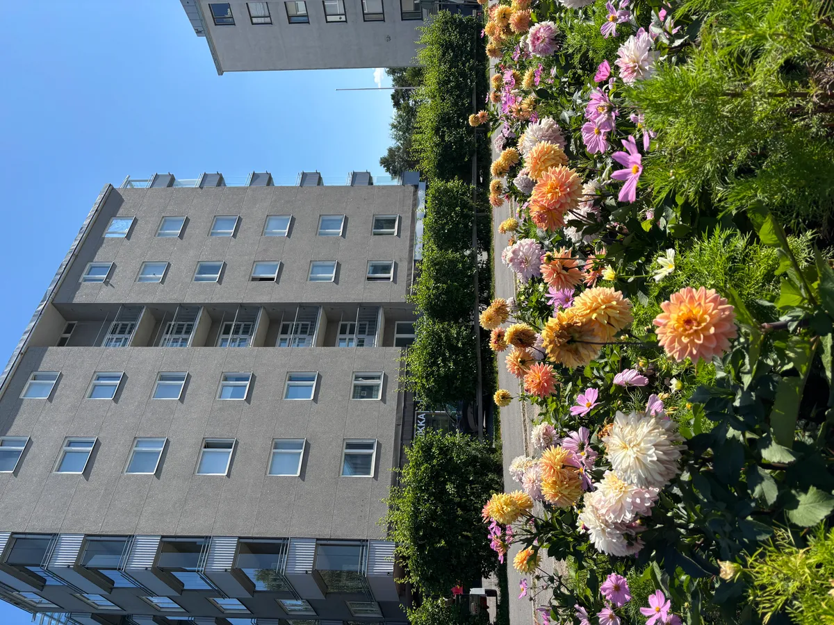 Hyreslägenhet på Oulu i oulu
