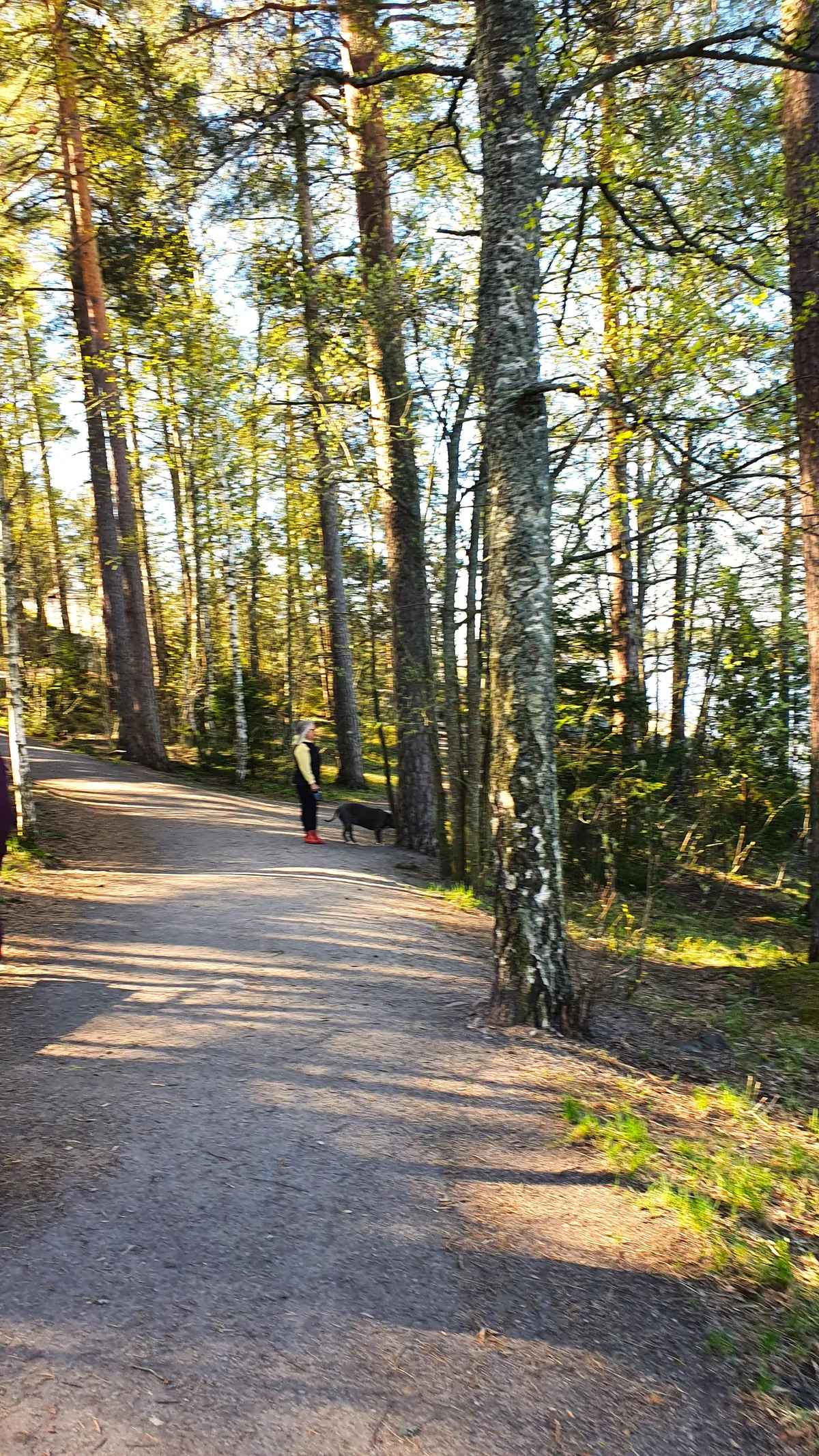Hyreslägenhet på Espoo i espoo