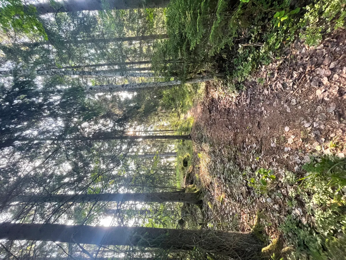 Hyresbostad på Norrtälje i norrtalje