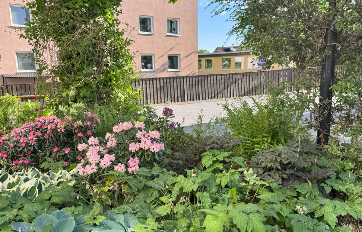 Hyreslägenhet på Stockholm i stockholm