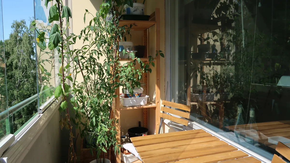Hyreslägenhet på Helsinki i helsinki
