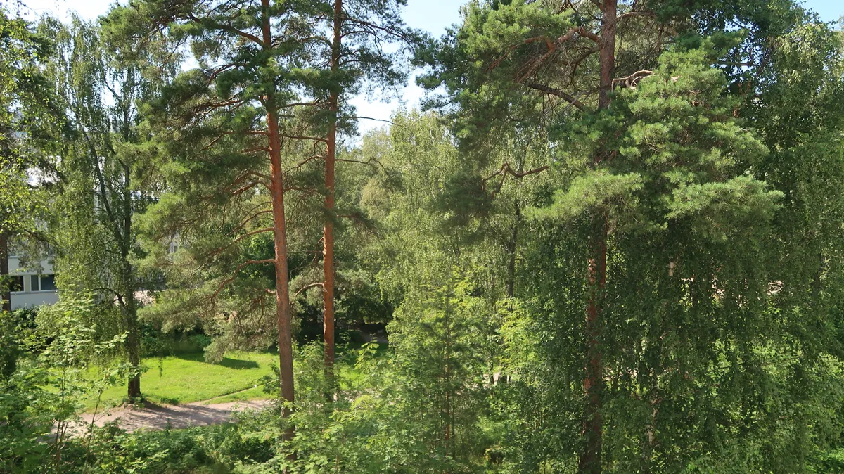 Hyreslägenhet på Helsinki i helsinki