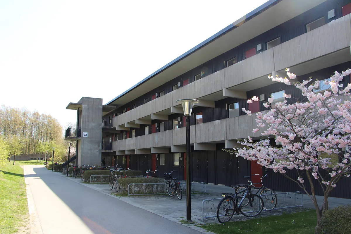 Hyreslägenhet på Lund i lund