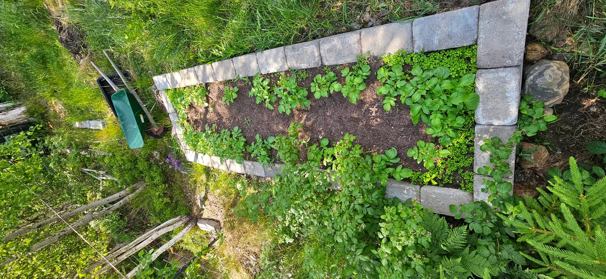 Hyresbostad på Järna i jarna