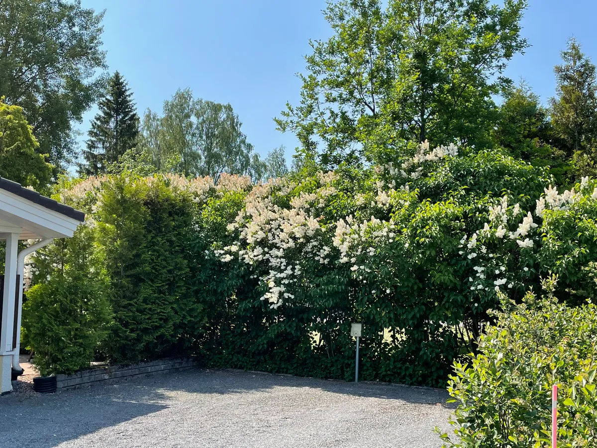 Hyresbostad på Espoo i espoo