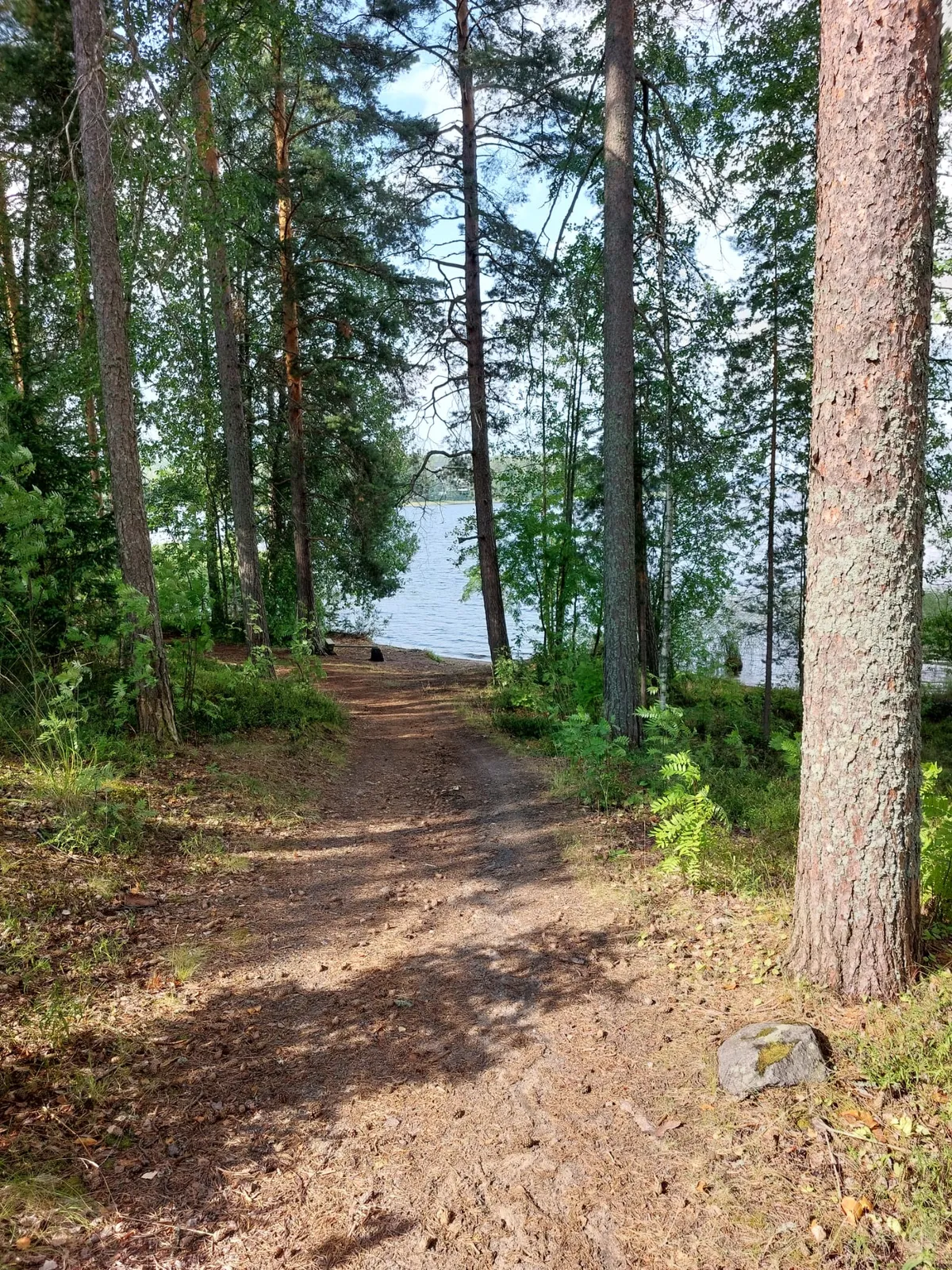 Hyreslägenhet på Jyväskylä i jyvaskyla