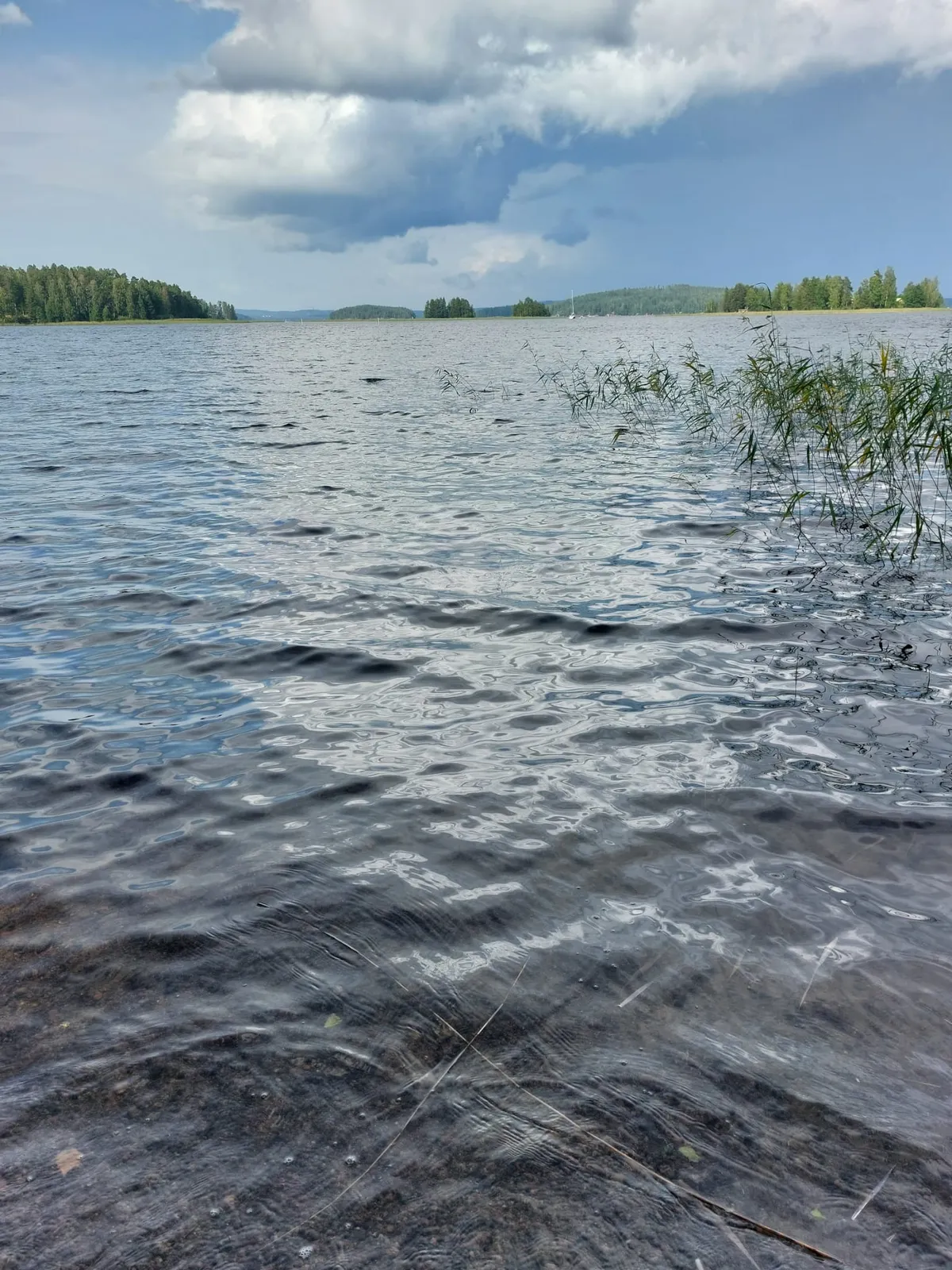 Hyreslägenhet på Jyväskylä i jyvaskyla