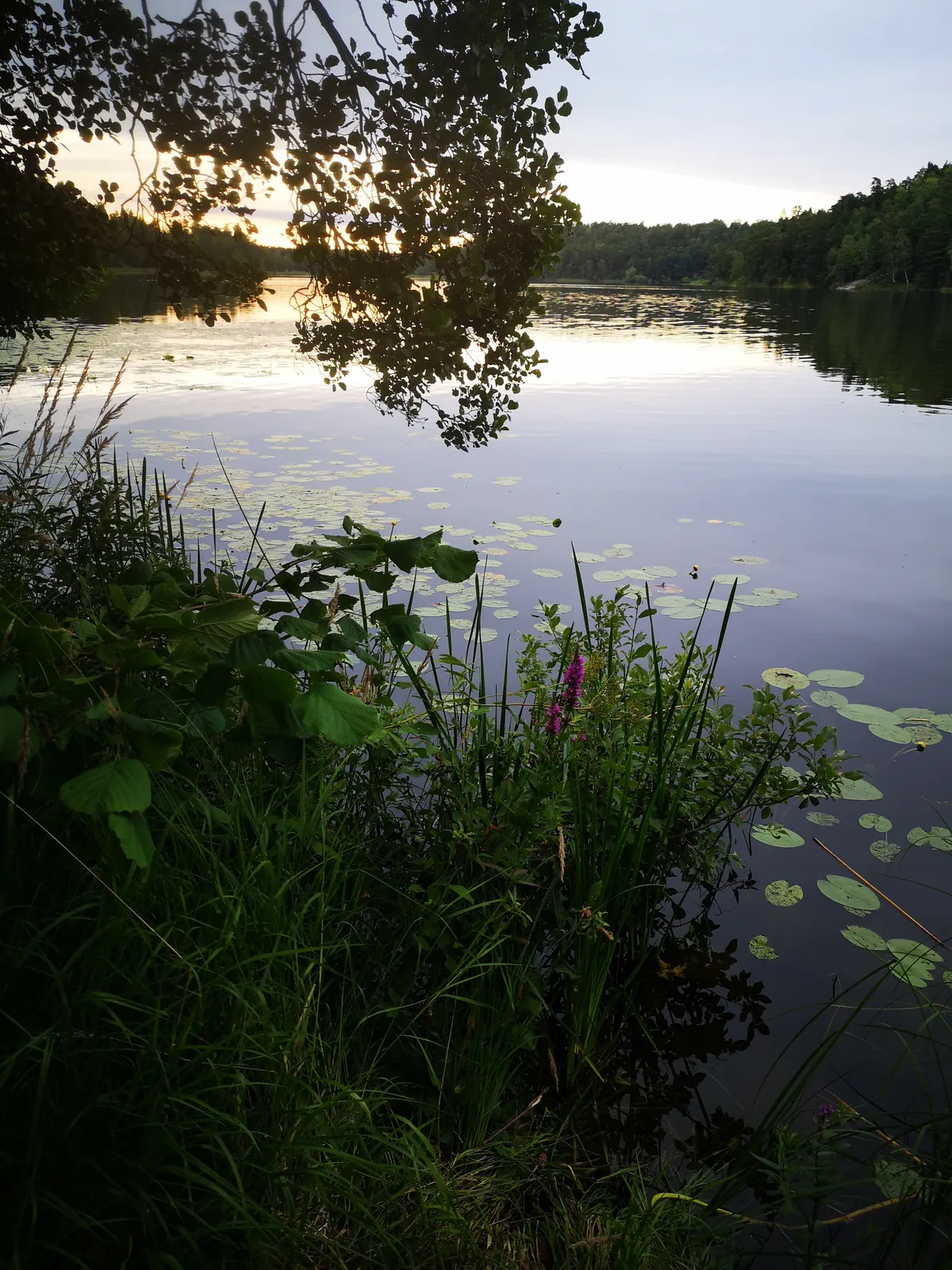 Hyreslägenhet på Täby i taby