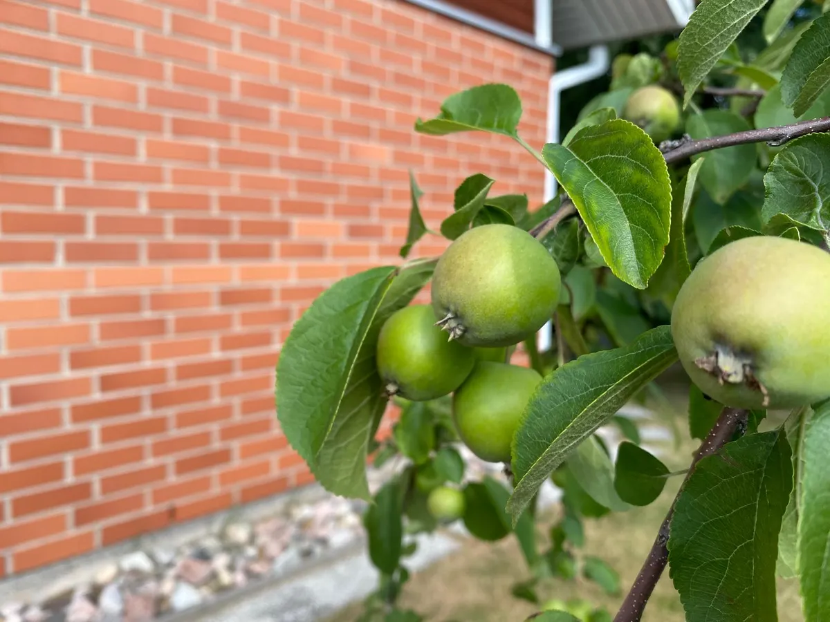 Hyresbostad på Oulu i oulu