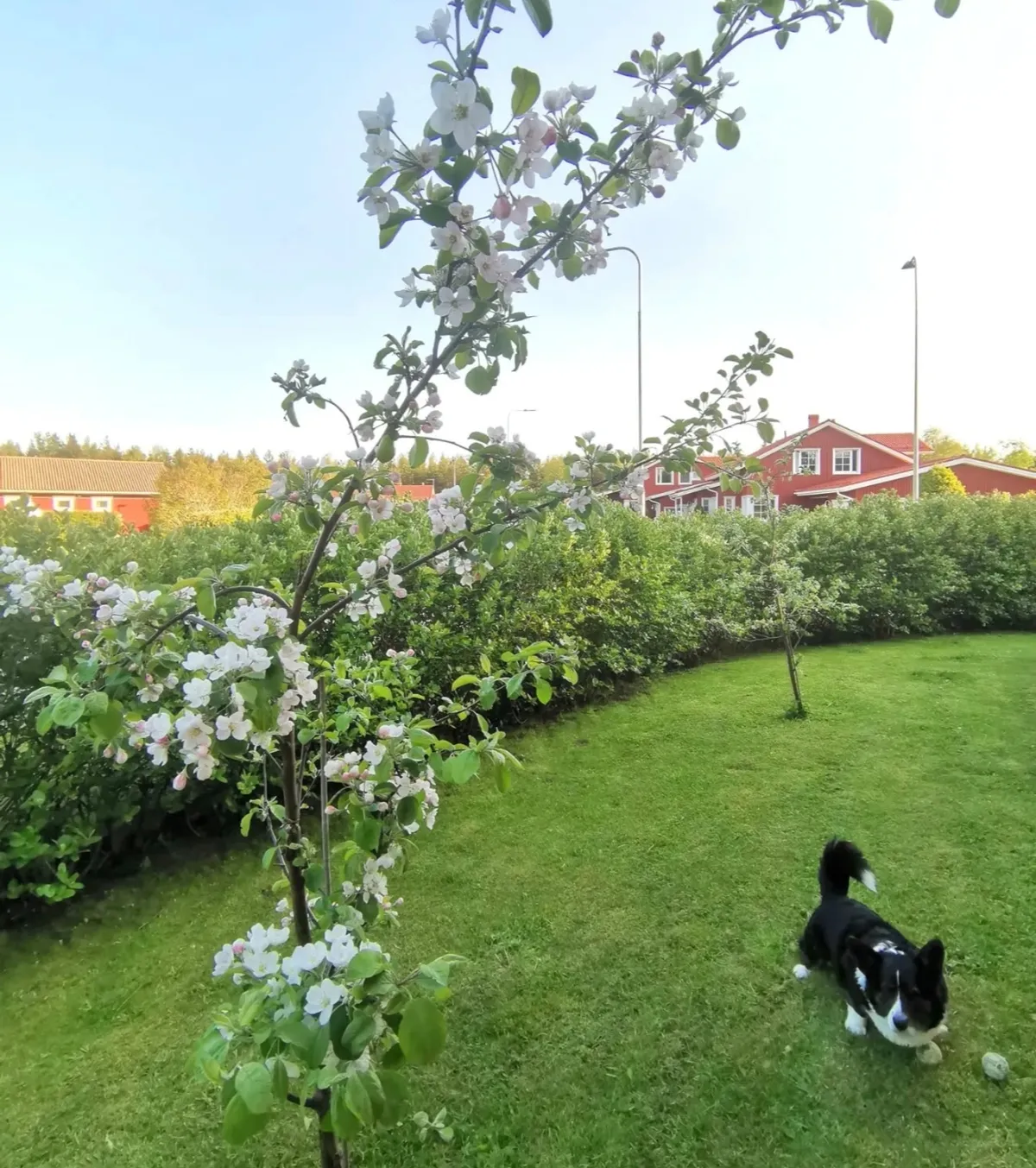 Hyresbostad på Oulu i oulu