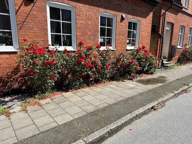 Hyresbostad på Trelleborg i trelleborg