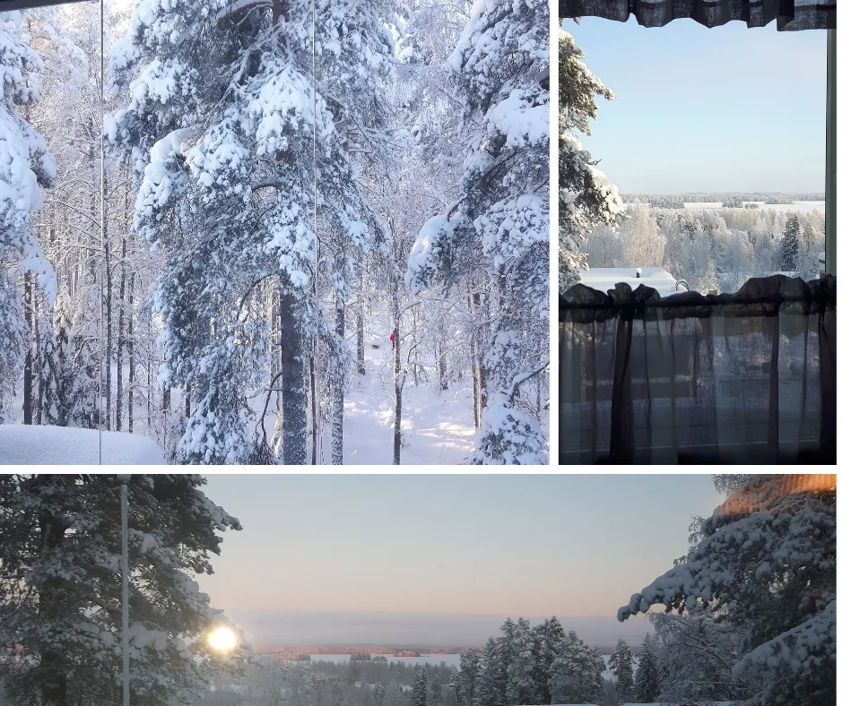 Hyreslägenhet på Kuopio i kuopio