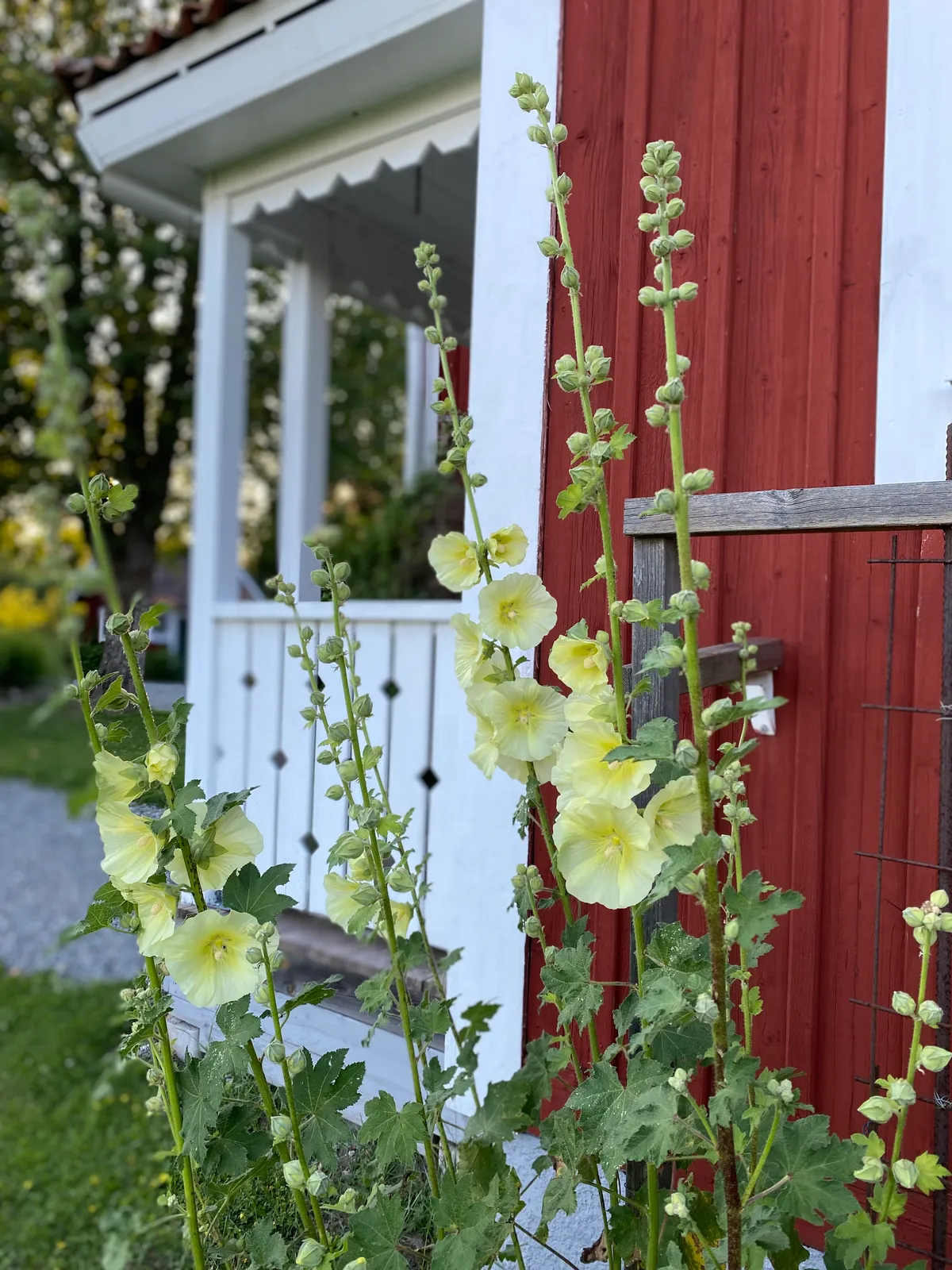 Hyresbostad på Enköping i enkoping