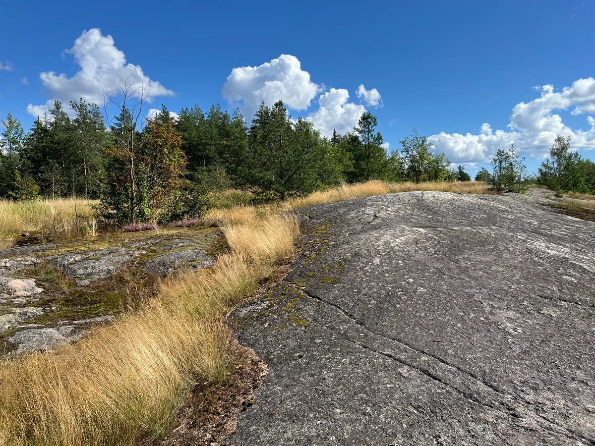 Hyresbostad på Helsinki i helsinki