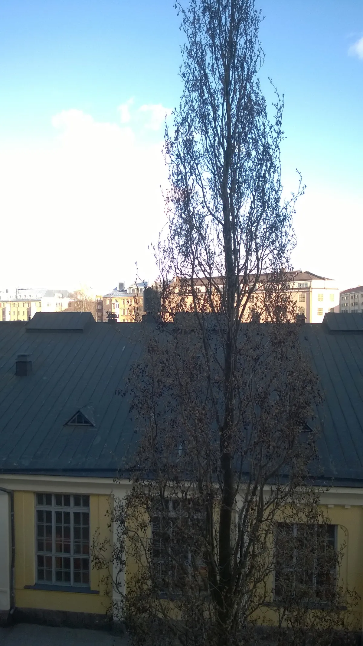Hyreslägenhet på Helsinki i helsinki