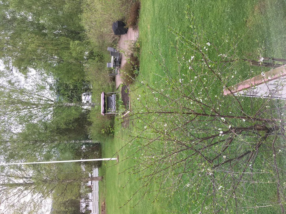 Hyreslägenhet på Jyväskylä i jyvaskyla