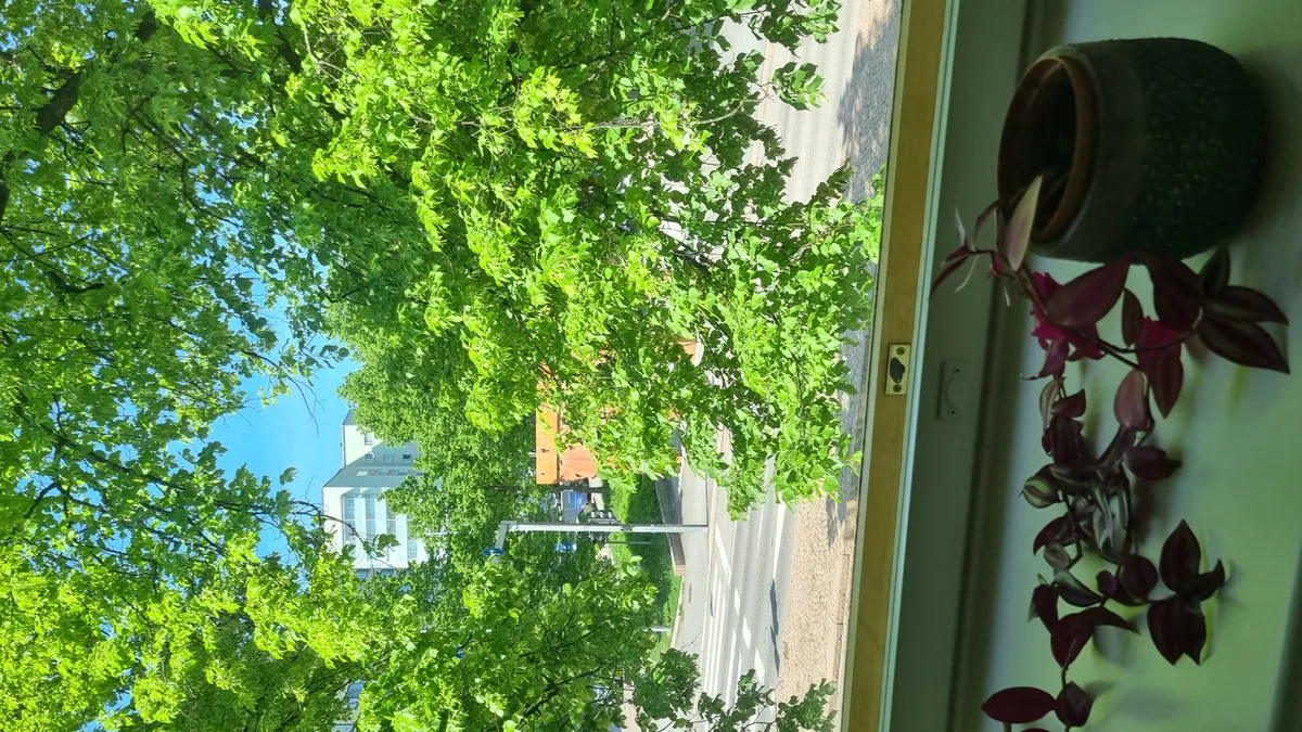 Hyreslägenhet på Lahti i lahti