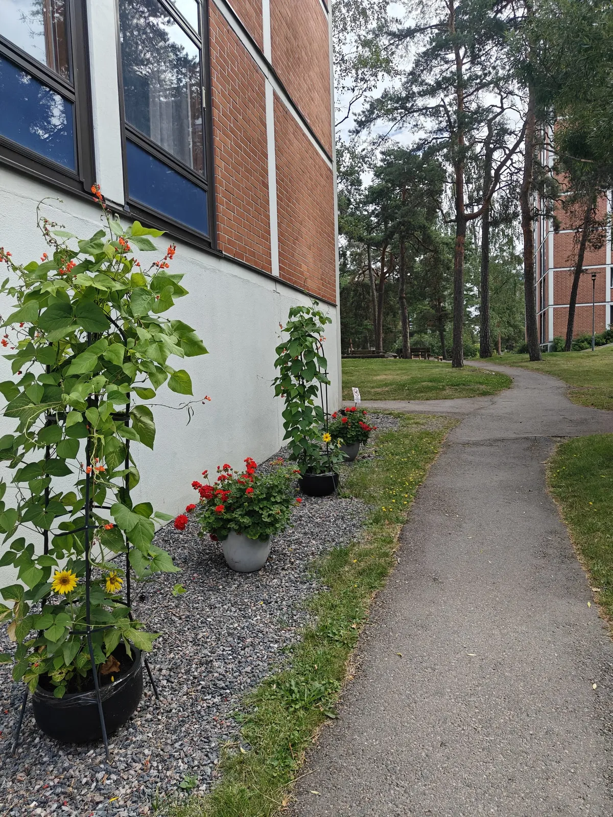 Hyreslägenhet på Espoo i espoo