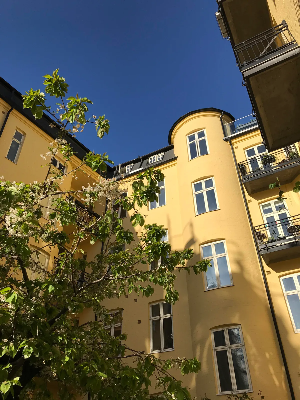 Hyreslägenhet på Malmö i malmo