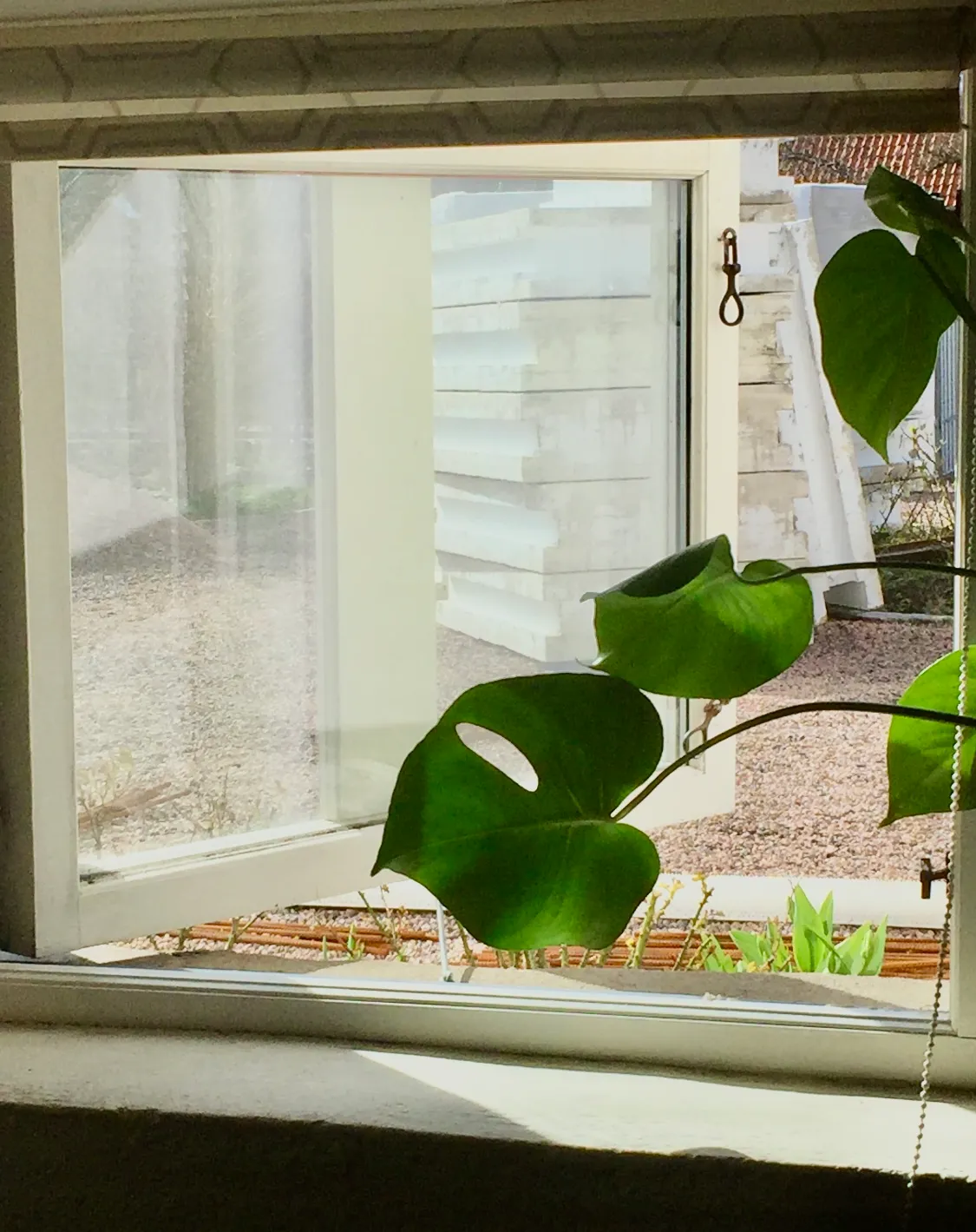 Hyreslägenhet på Lomma i lomma