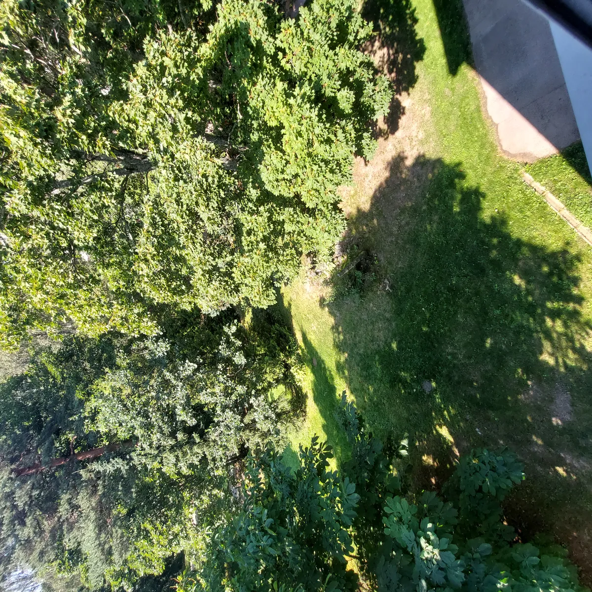 Hyreslägenhet på Helsinki i helsinki