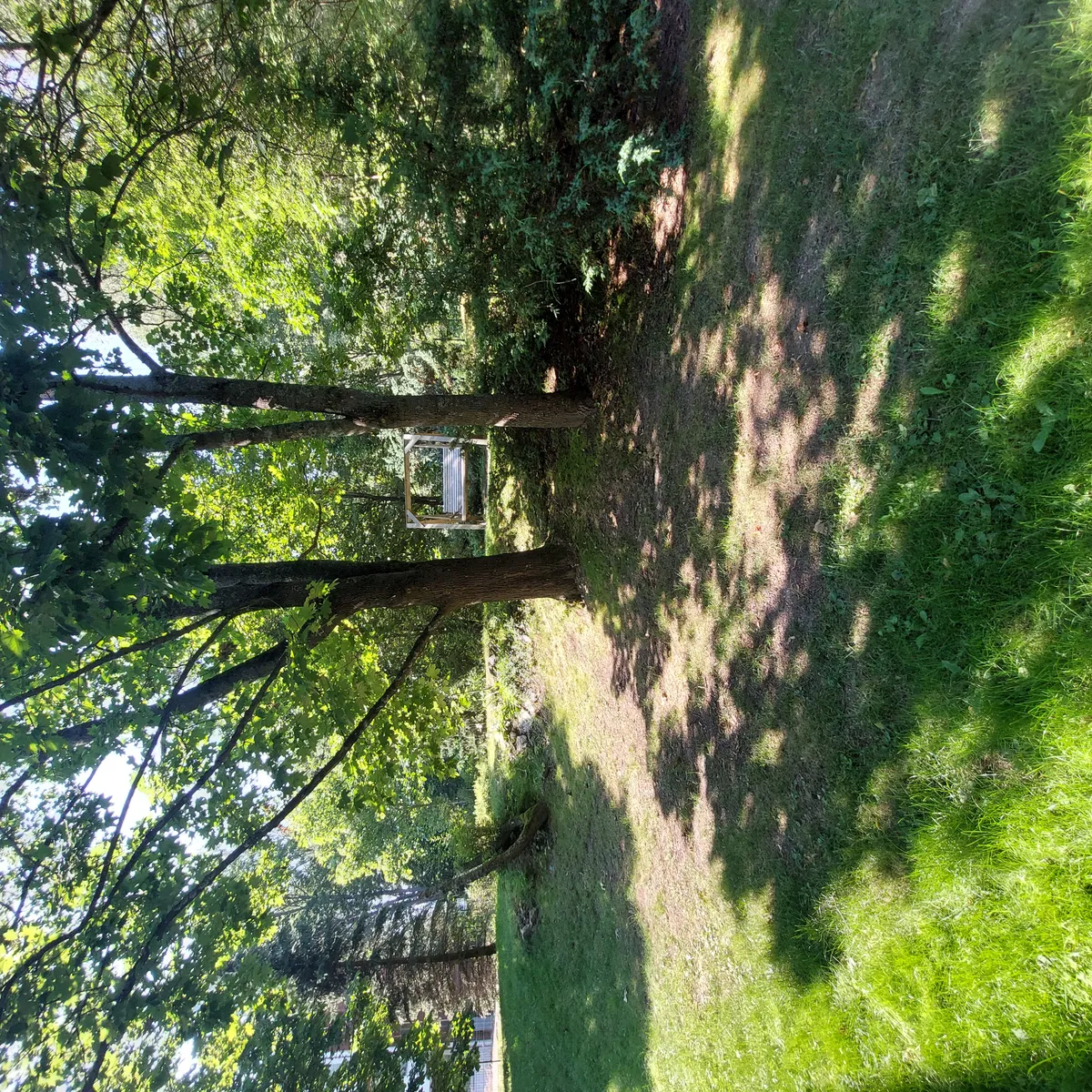 Hyreslägenhet på Helsinki i helsinki