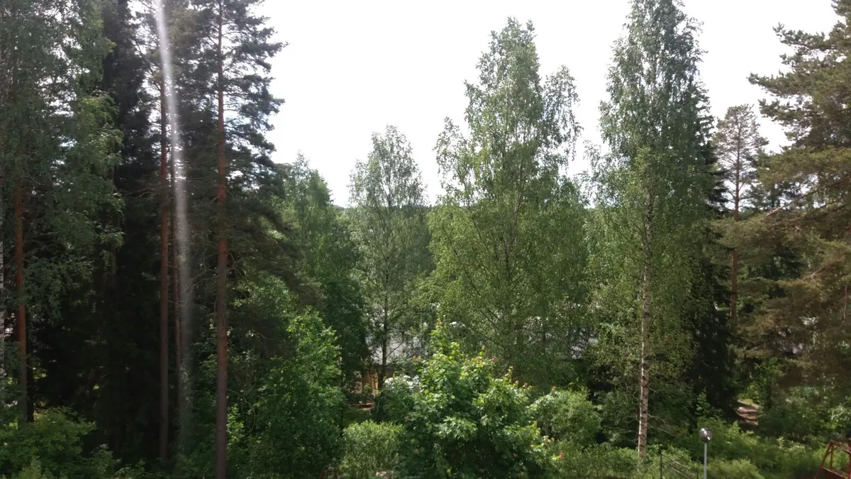 Hyreslägenhet på Siilinjärvi i siilinjarvi