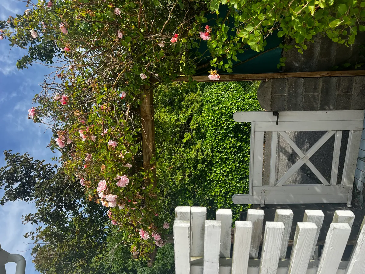 Hyresbostad på Donsö i donso