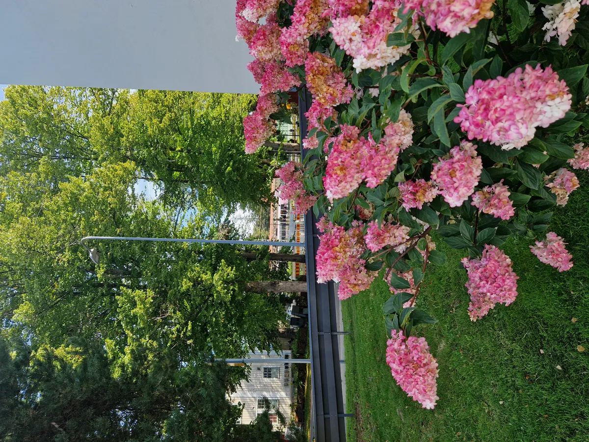 Hyreslägenhet på Helsinki i helsinki