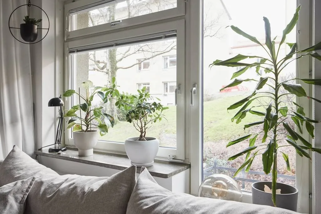 Hyreslägenhet på Göteborg i goteborg
