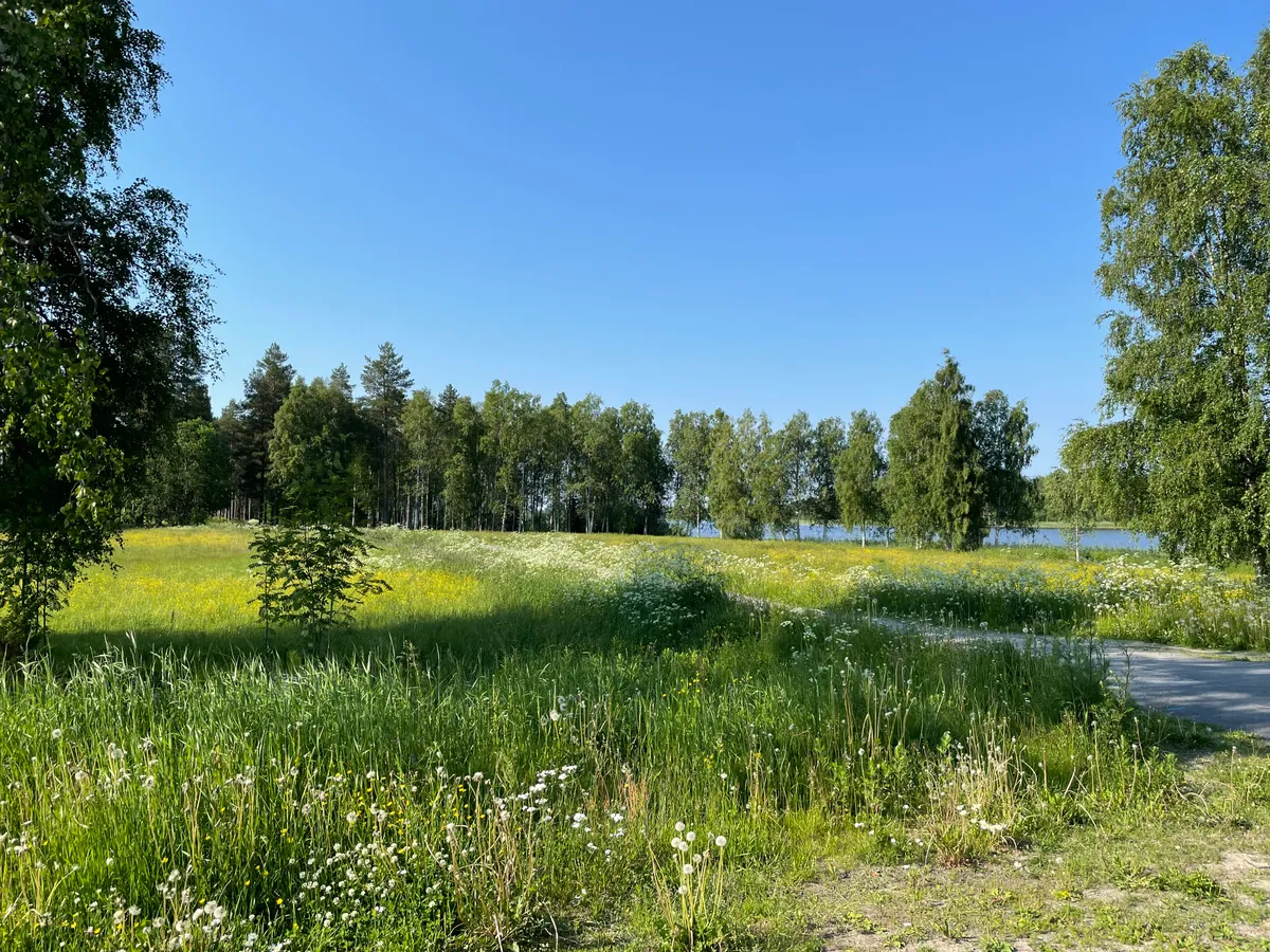 Hyreslägenhet på Luleå i lulea