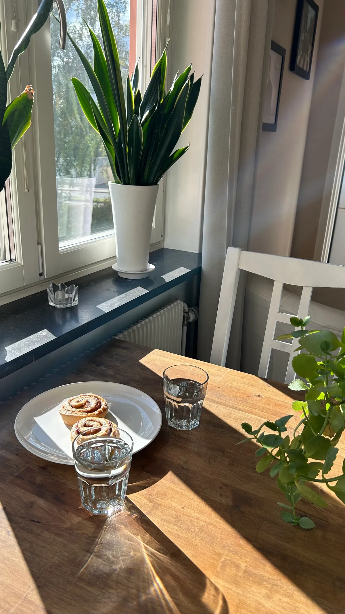 Hyreslägenhet på Uppsala i uppsala