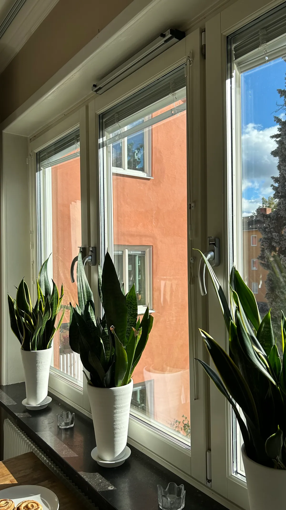 Hyreslägenhet på Uppsala i uppsala