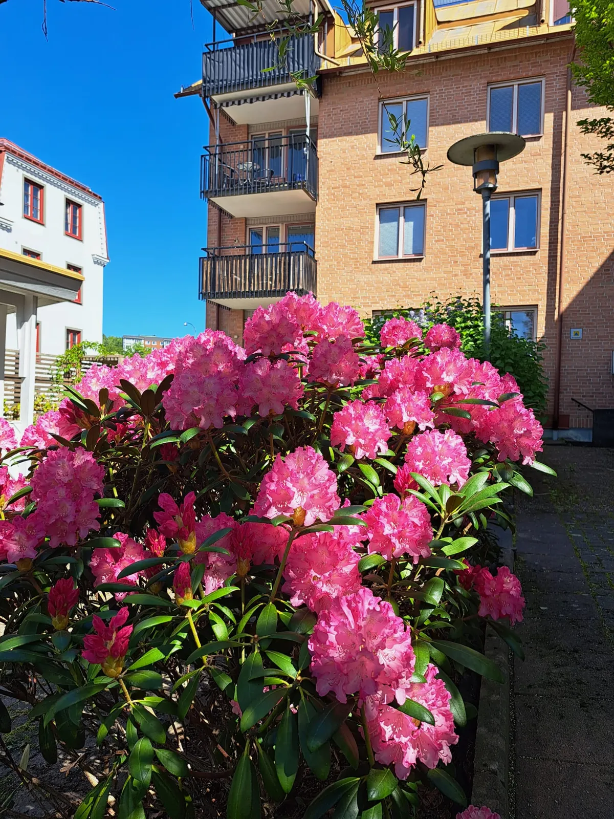 Hyreslägenhet på Uddevalla i uddevalla
