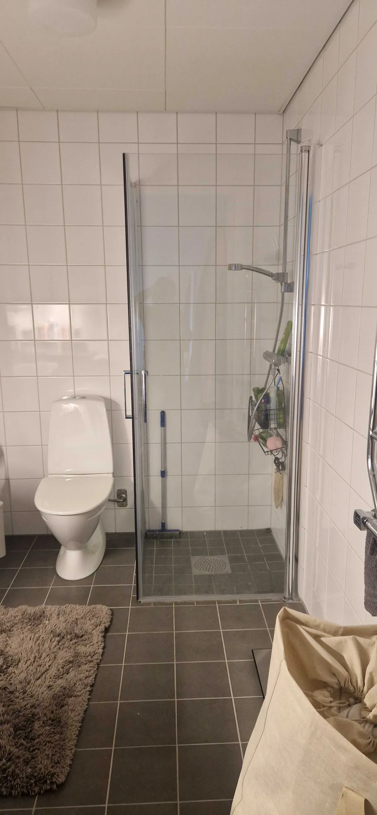 Hyreslägenhet på Malmö i malmo