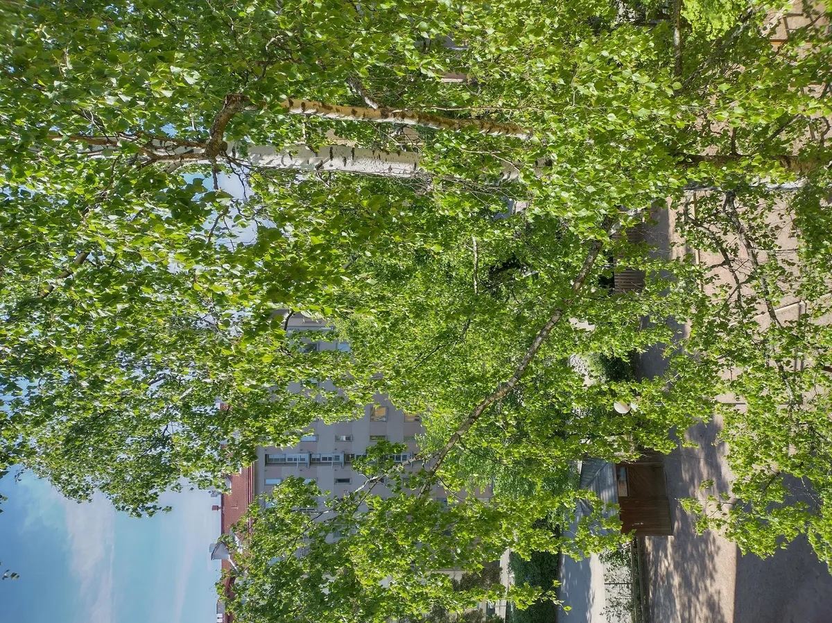 Hyreslägenhet på Helsinki i helsinki