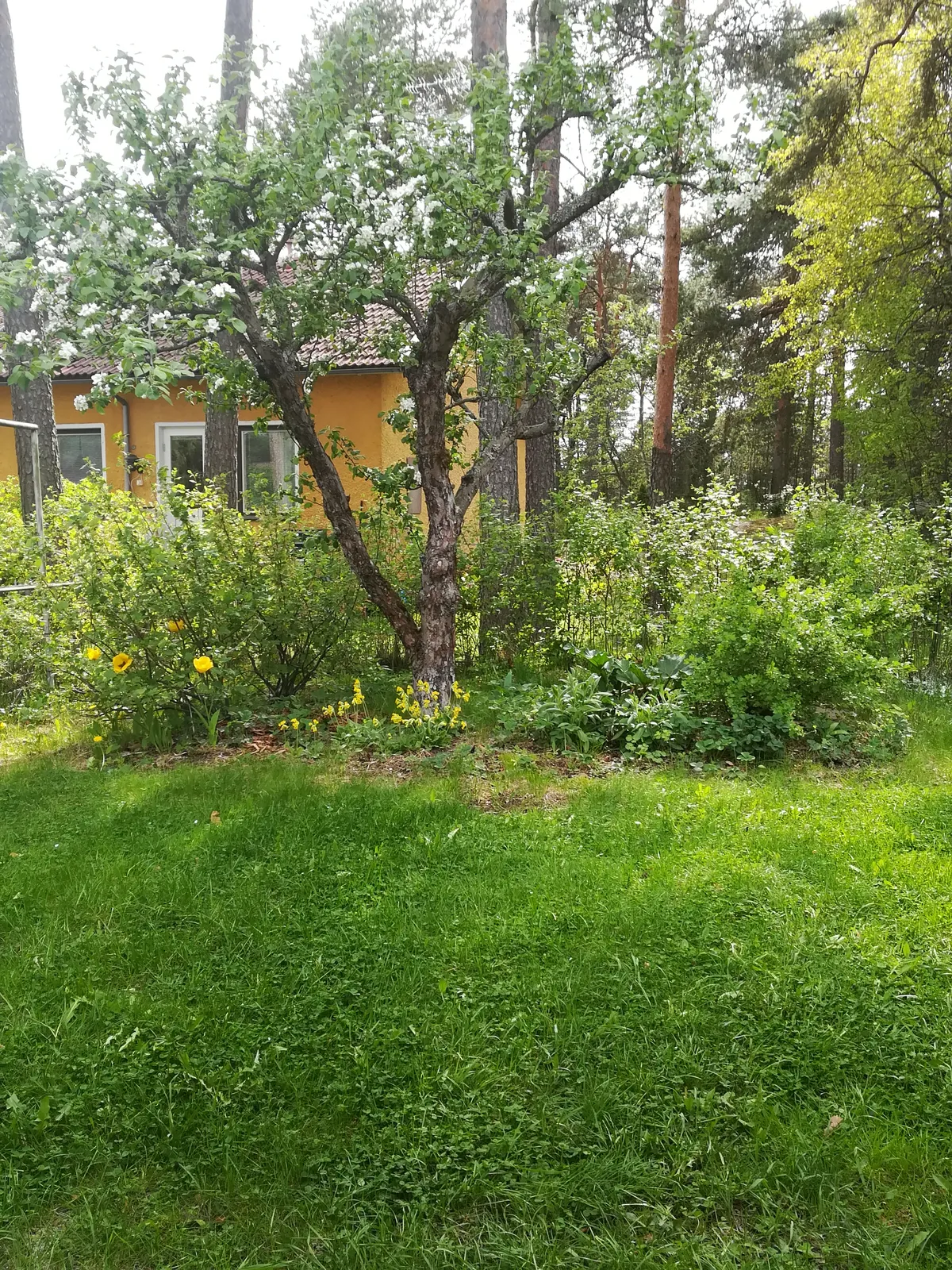 Hyresbostad på Turku i turku