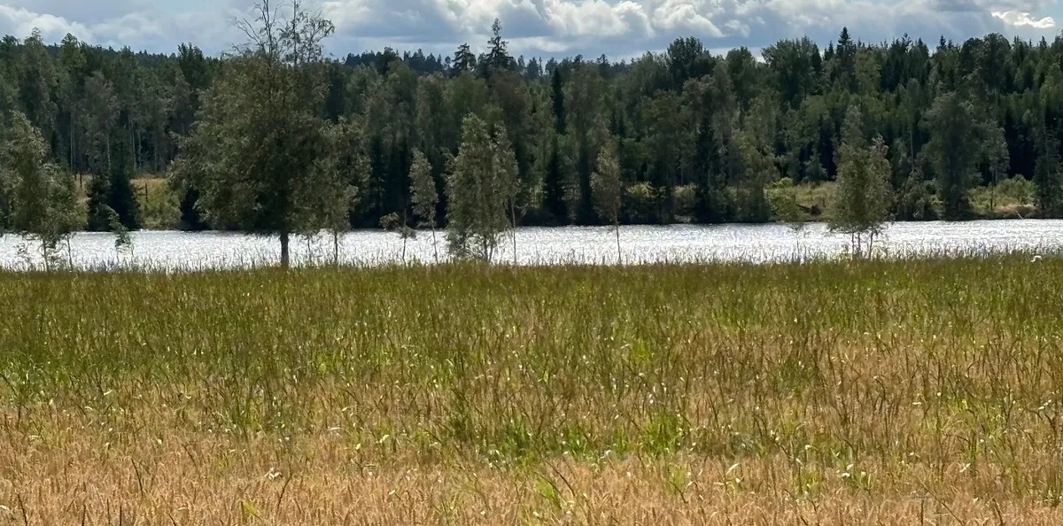 Hyreslägenhet på Vikmanshyttan i vikmanshyttan