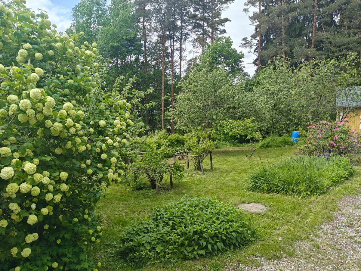 Hyresbostad på Lahti i lahti