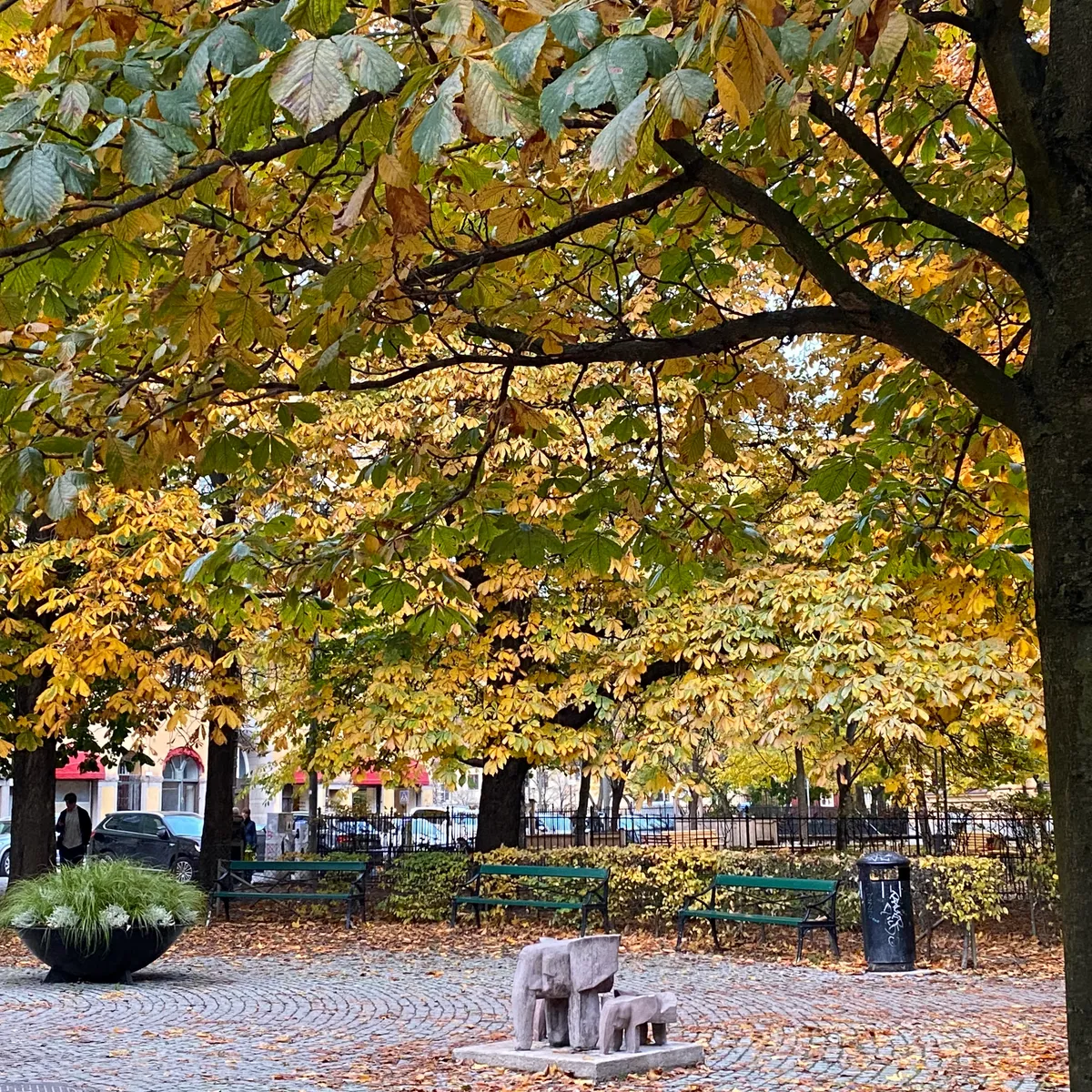 Hyreslägenhet på Stockholm i stockholm