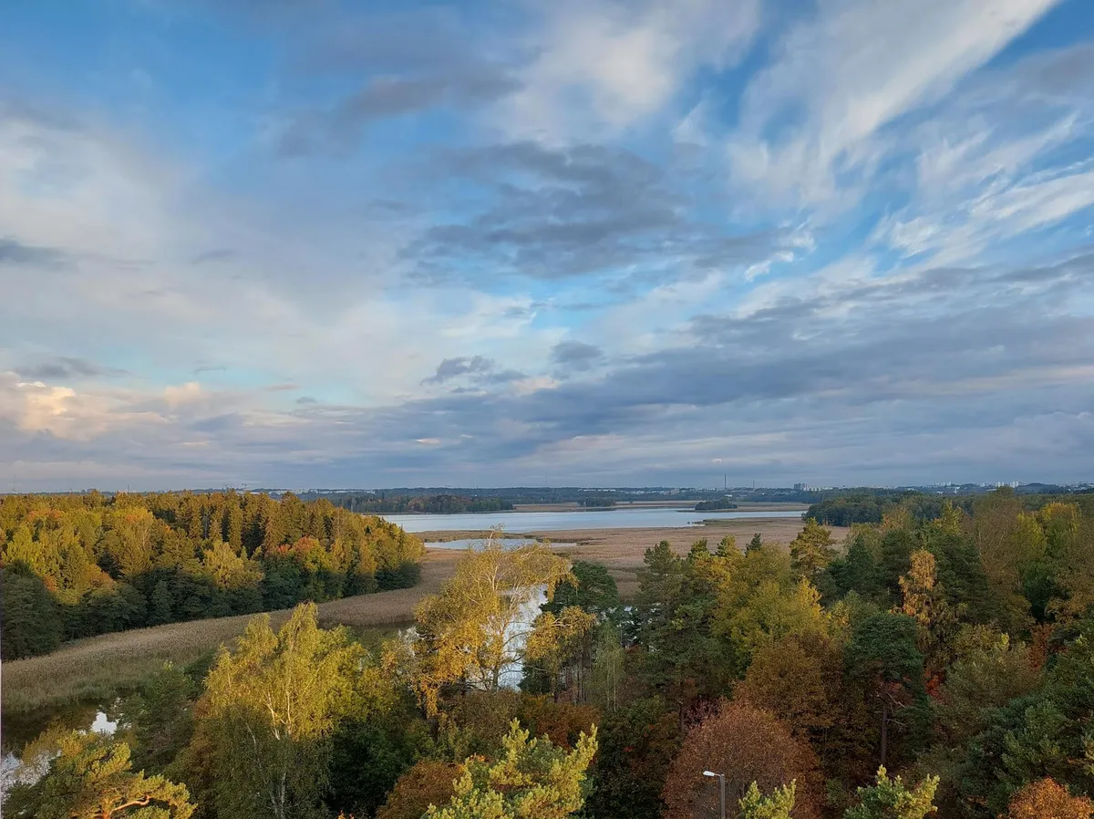 Hyreslägenhet på Helsinki i helsinki