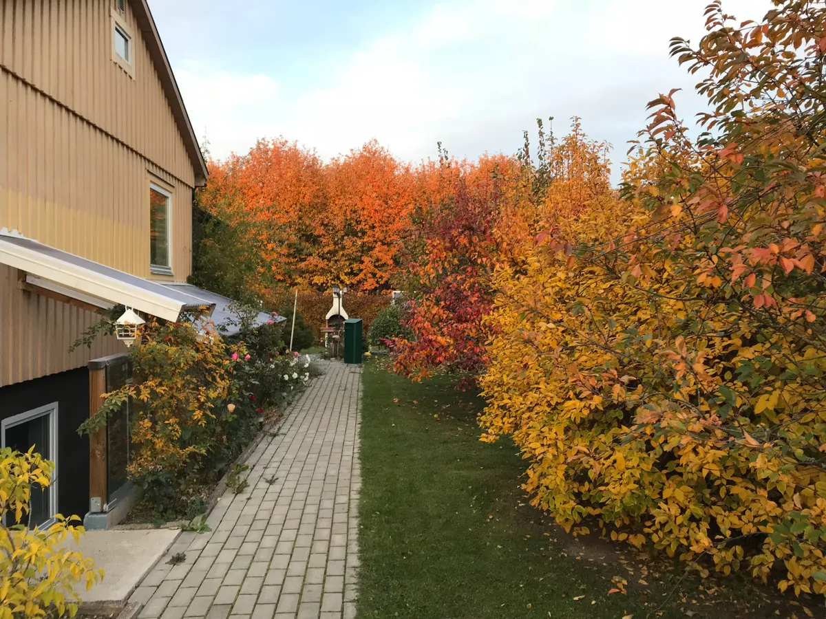 Hyresbostad på Uppsala i uppsala