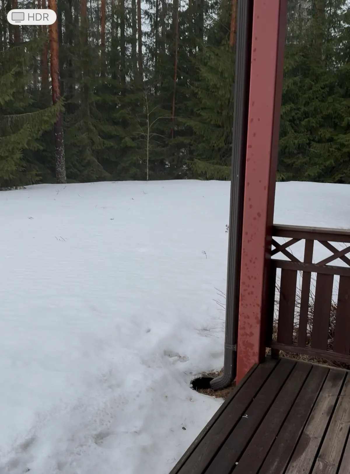Hyreslägenhet på Jyväskylä i jyvaskyla