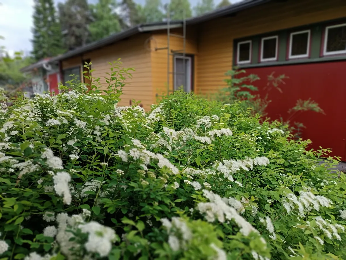 Hyresbostad på Varkaus i varkaus