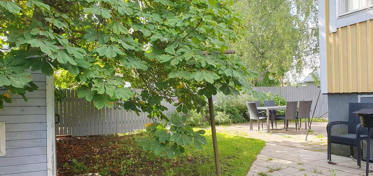 Hyresbostad på Turku i turku