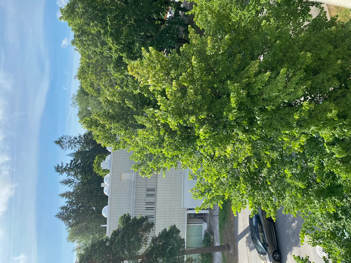 Hyreslägenhet på Helsinki i helsinki